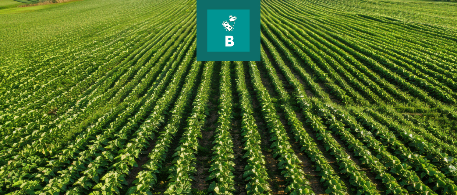 Anajalsa Bactericidas