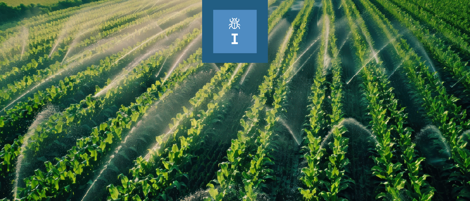 Anajalsa insecticidas