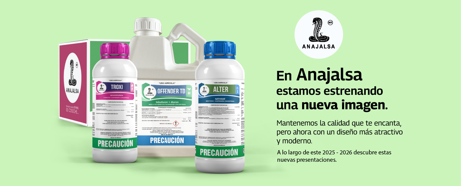 Banner nueva imagen Anajalsa