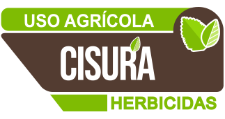 Logo Cisura