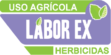 Logo Laborex