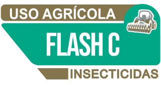 Logo Flash G